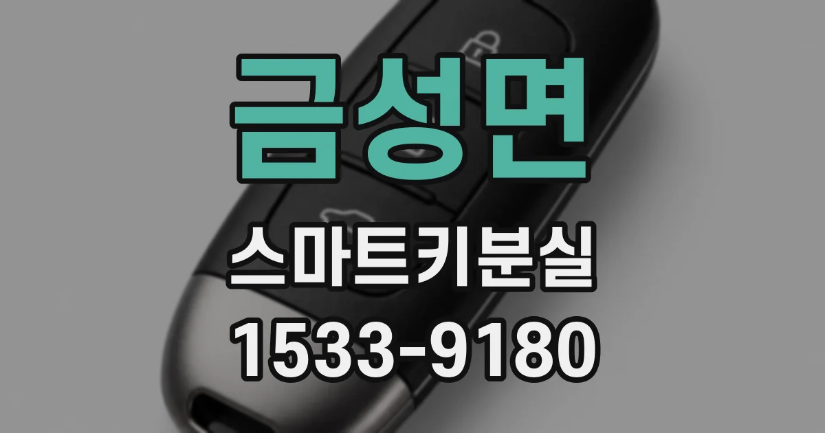 금성면 스마트키분실