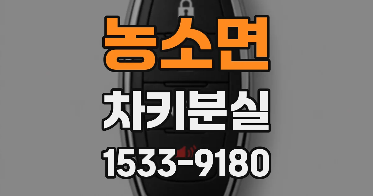 농소면 차키분실