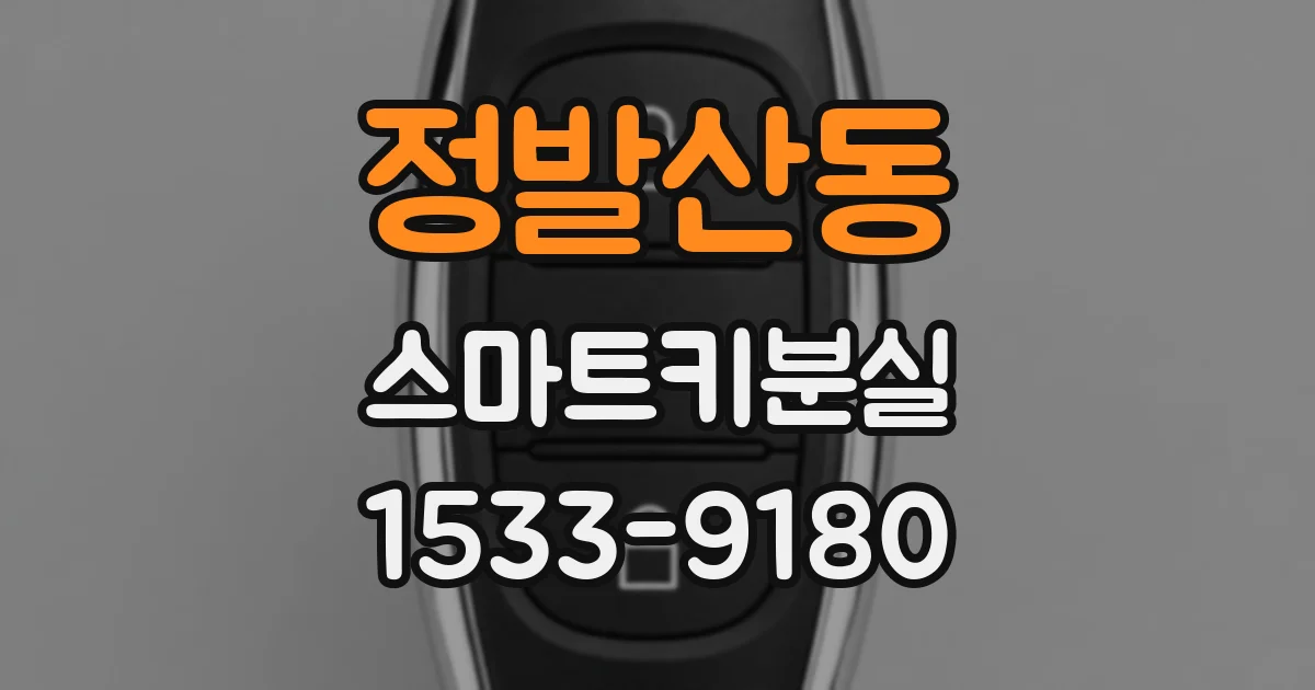 정발산동 스마트키분실