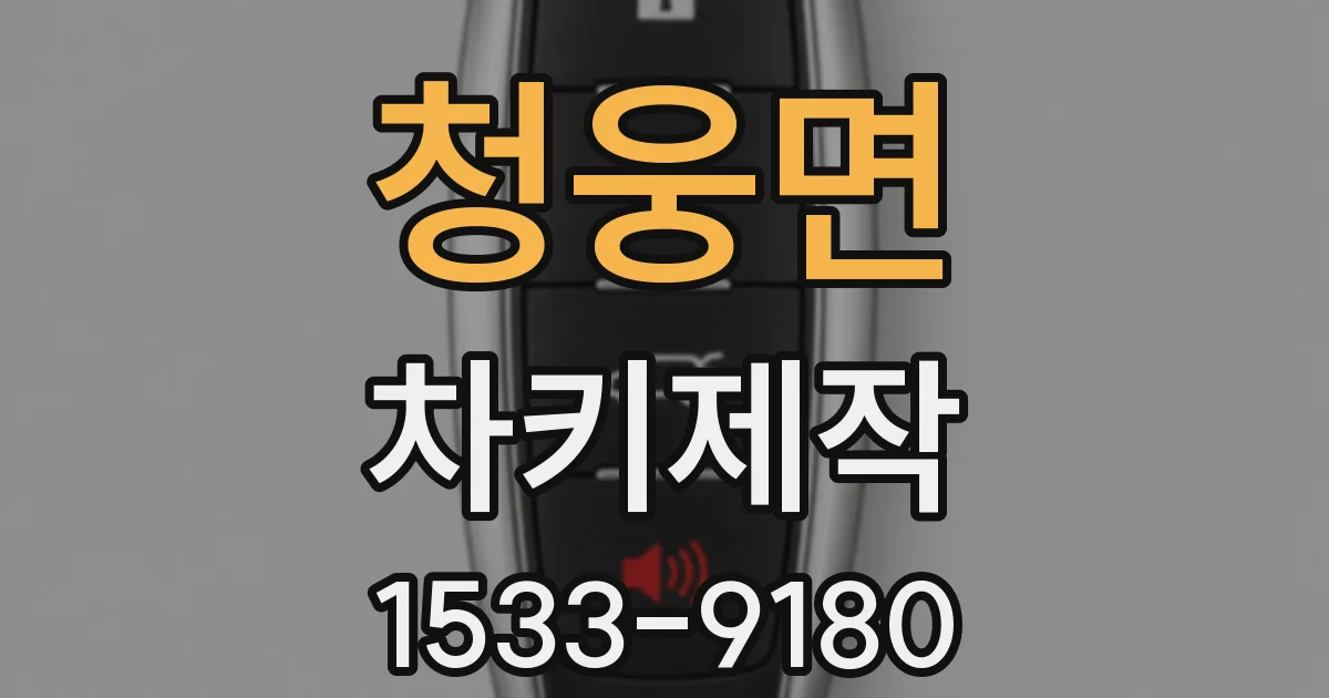 청웅면 차키제작