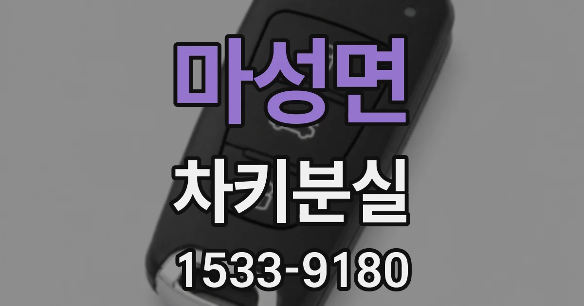 마성면 차키분실