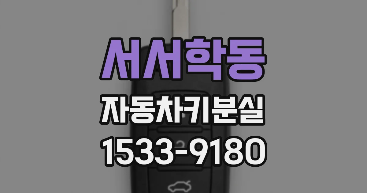 서서학동 자동차키분실