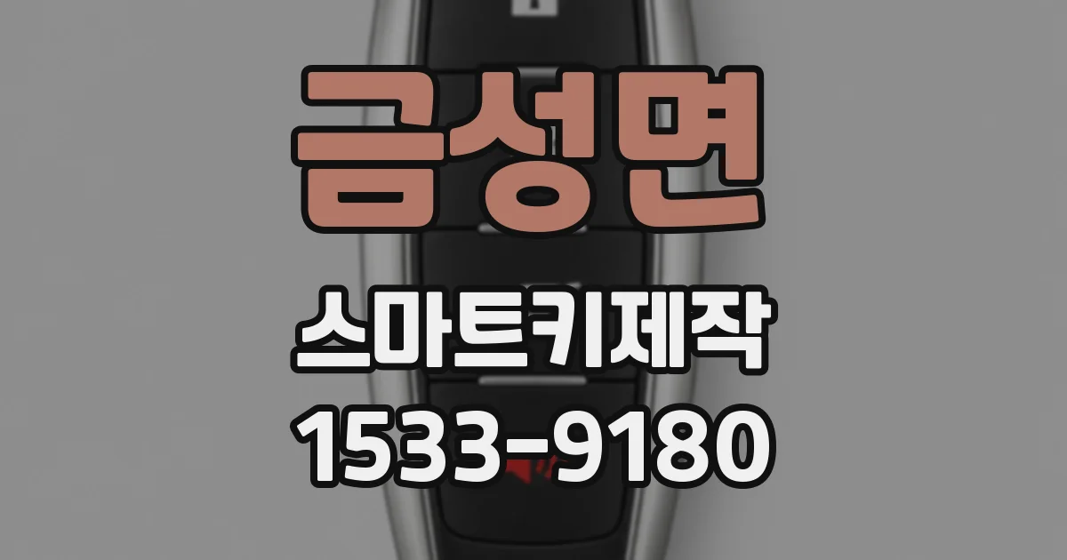 금성면 스마트키제작