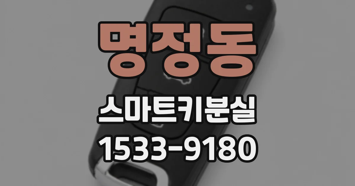 명정동 스마트키분실