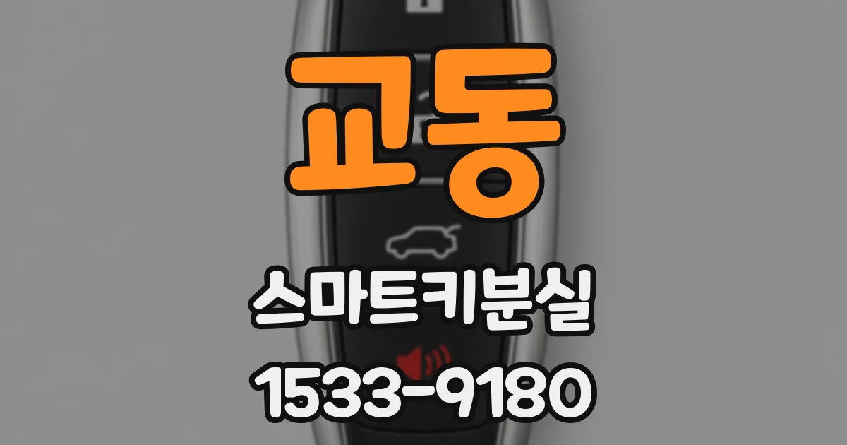 교동 스마트키분실