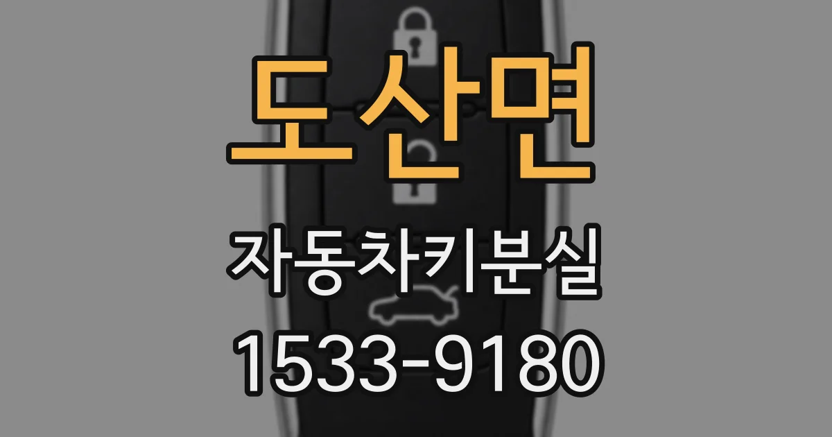 도산면 자동차키분실
