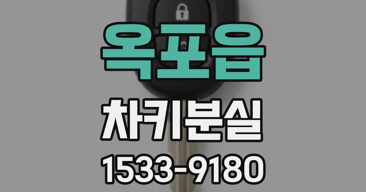 옥포읍 차키분실