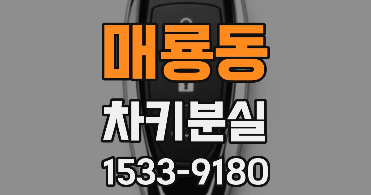 매룡동 차키분실