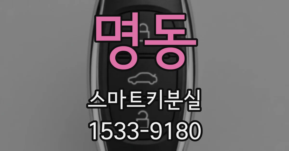 명동 스마트키분실