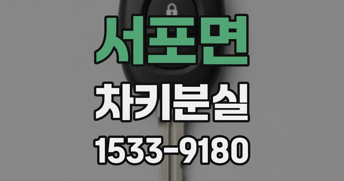 서포면 차키분실