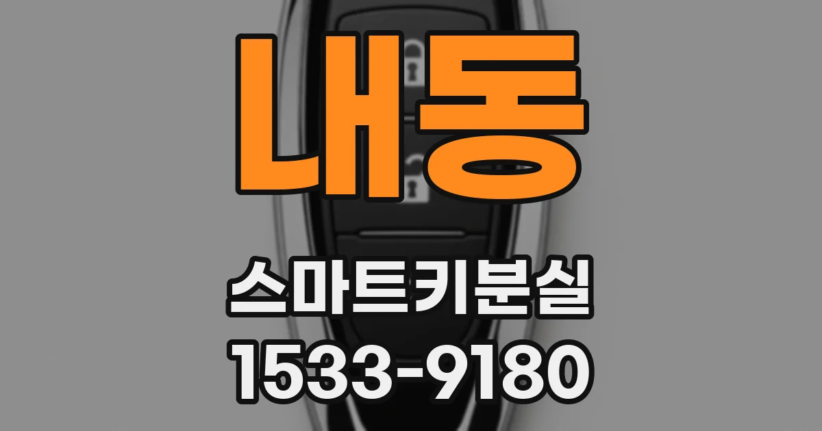 내동 스마트키분실