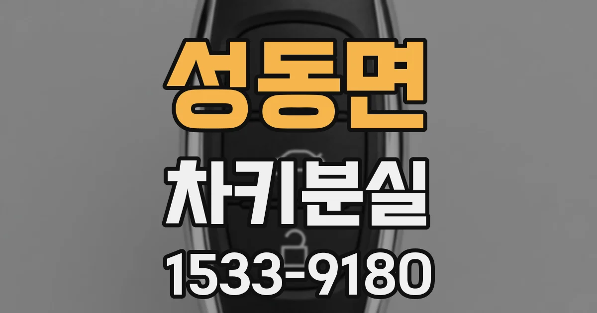 성동면 차키분실