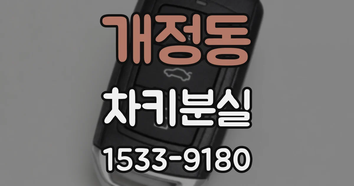 개정동 차키분실