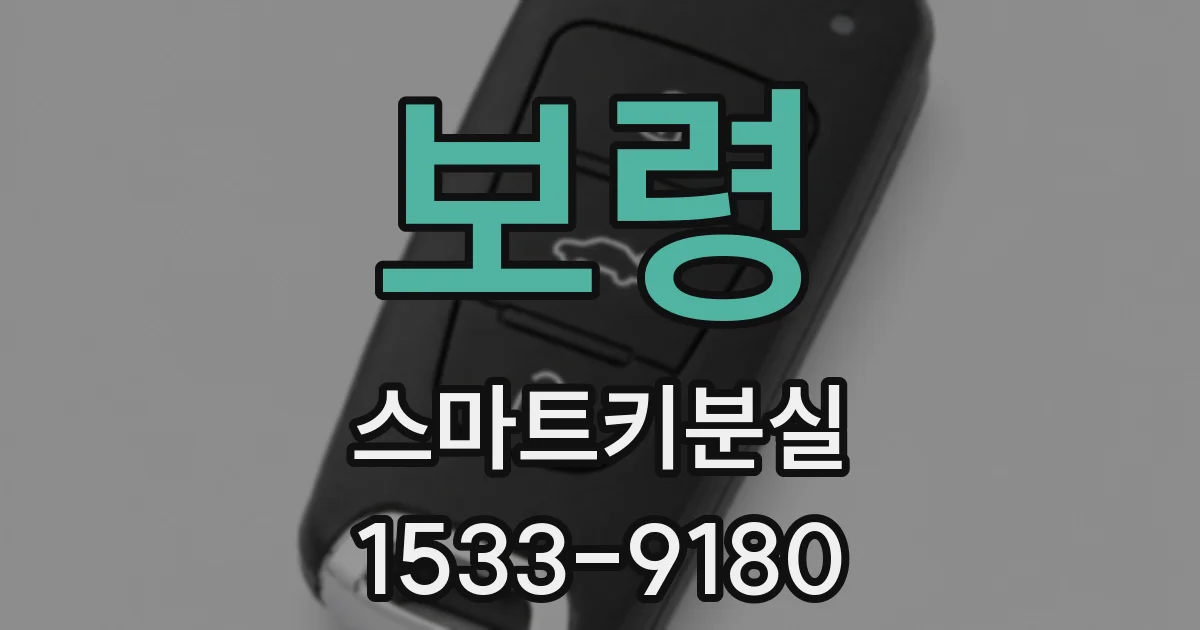 보령 스마트키분실