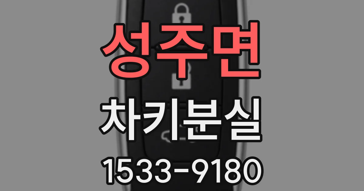 성주면 차키분실
