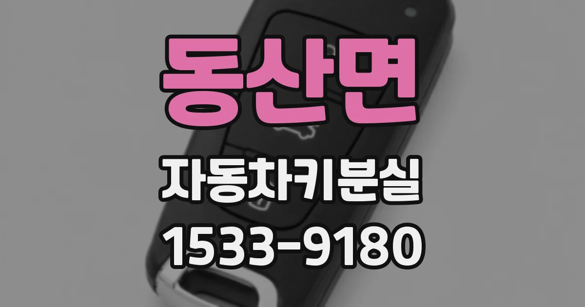 동산면 자동차키분실