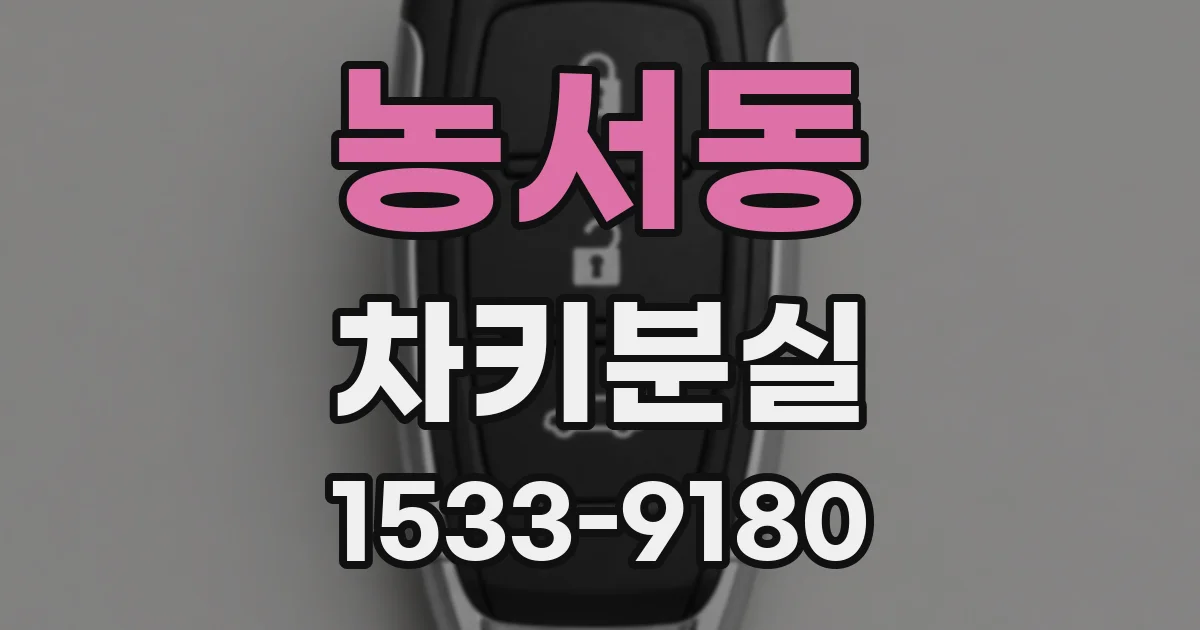 농서동 차키분실