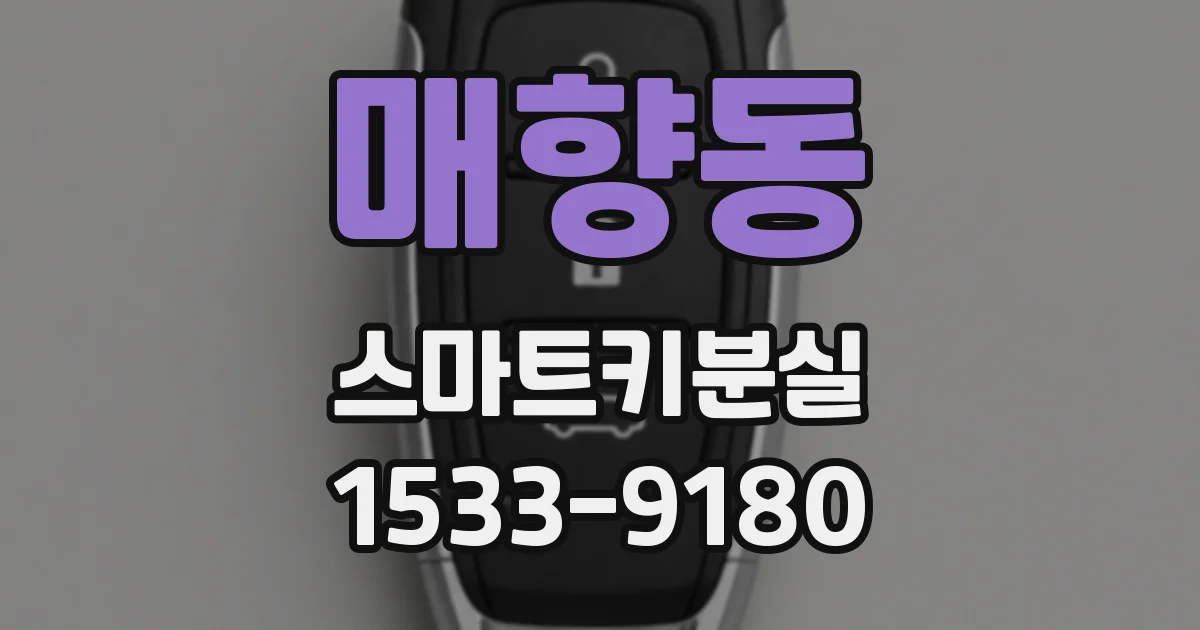 매향동 스마트키분실