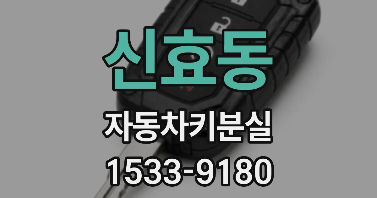 신효동 자동차키분실
