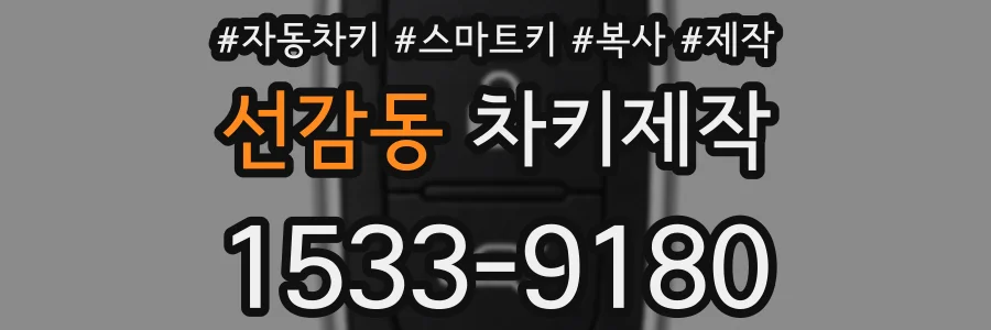 선감동 차키제작