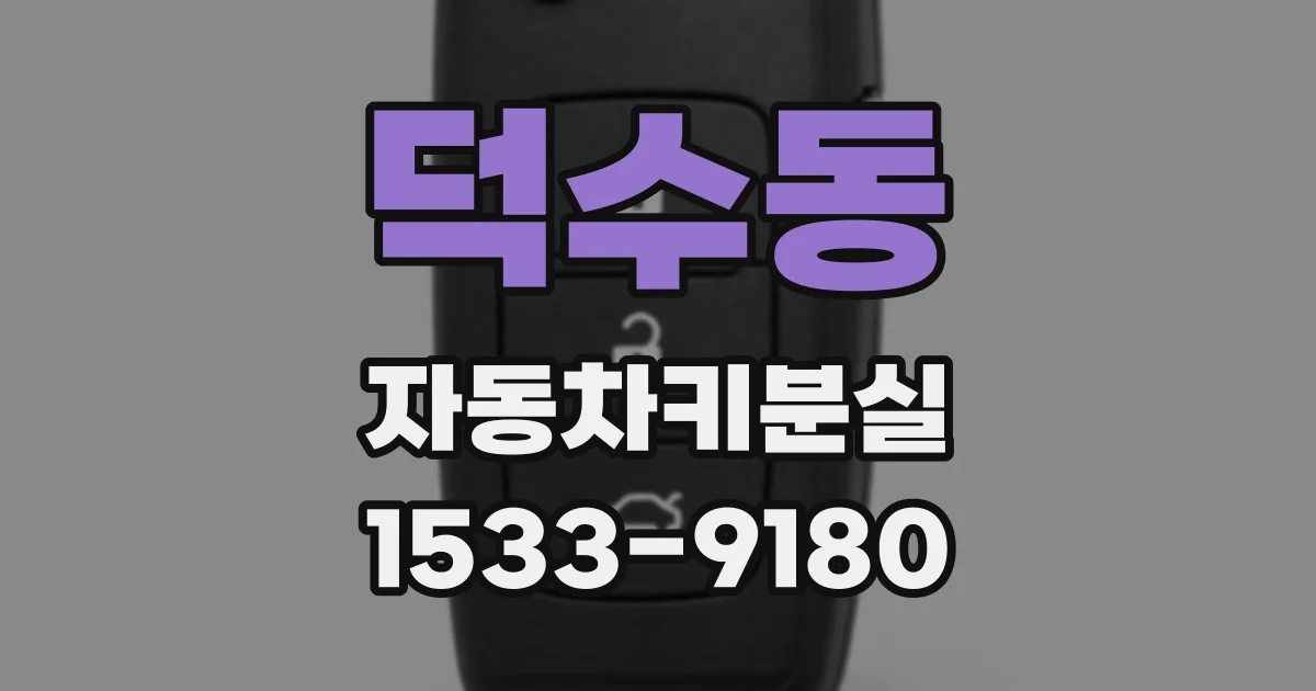 덕수동 자동차키분실