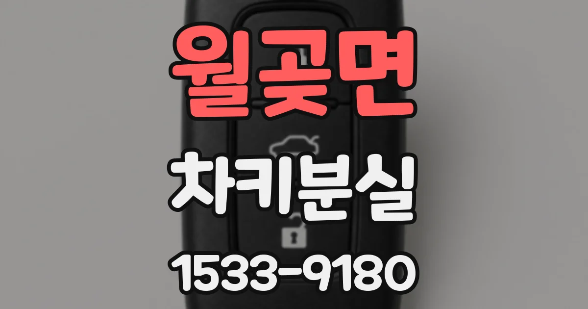월곶면 차키분실