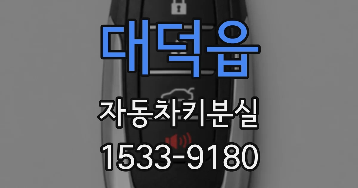 대덕읍 자동차키분실