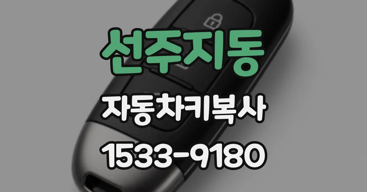 선주지동 자동차키복사
