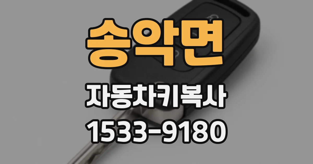 송악면 자동차키복사