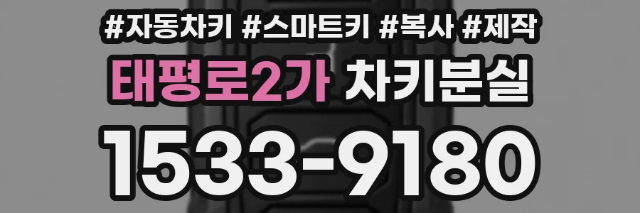 태평로2가 차키분실
