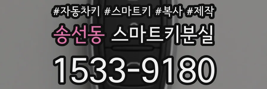 송선동 스마트키분실