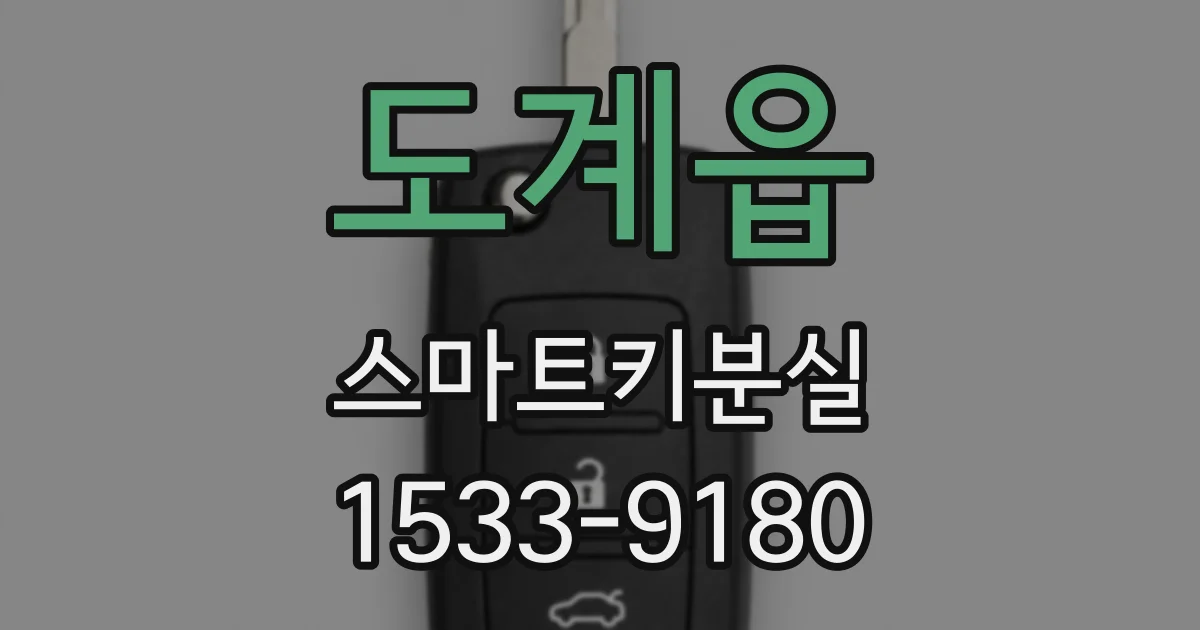 도계읍 스마트키분실