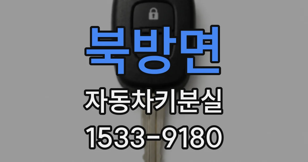 북방면 자동차키분실