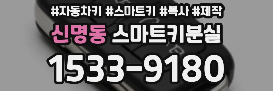 신명동 스마트키분실