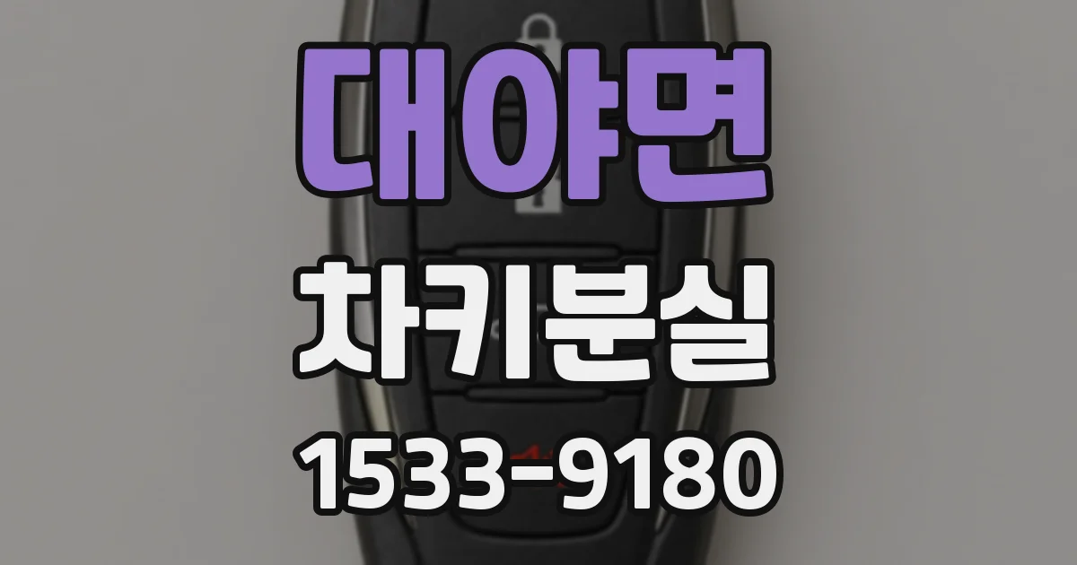 대야면 차키분실