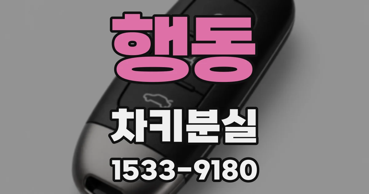 행동 차키분실