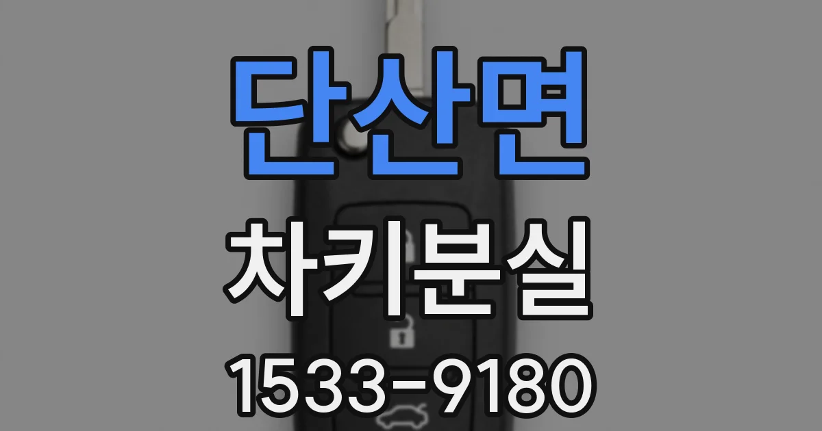단산면 차키분실