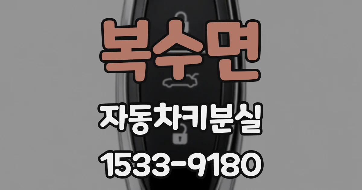 복수면 자동차키분실