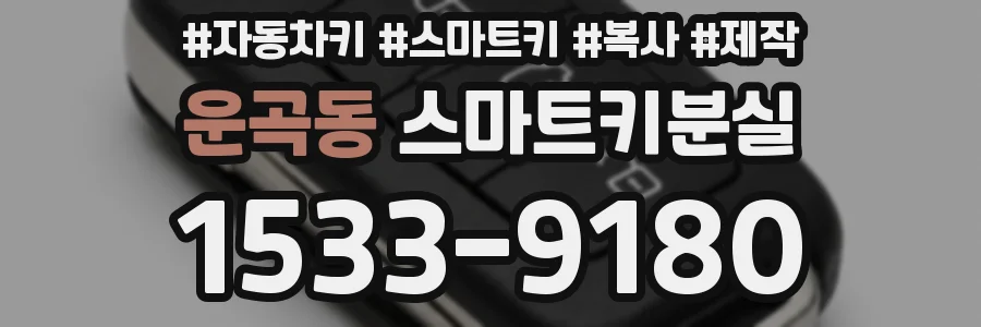 운곡동 스마트키분실