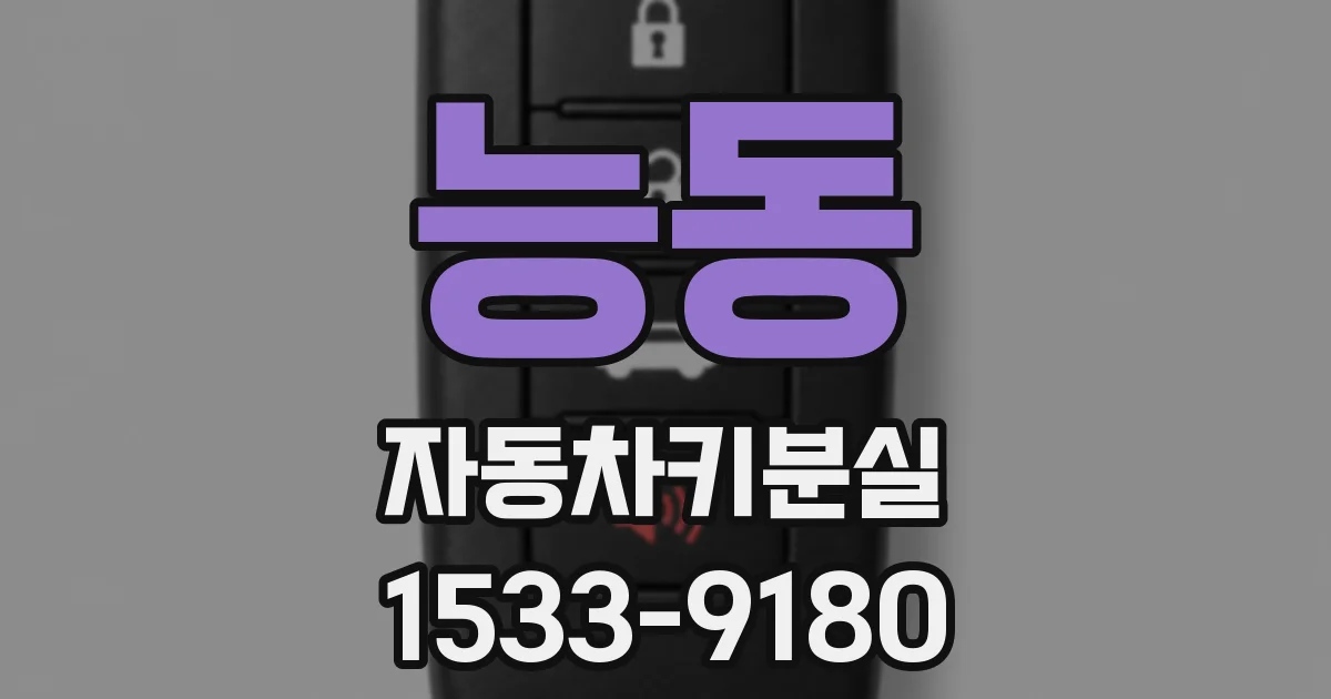 능동 자동차키분실