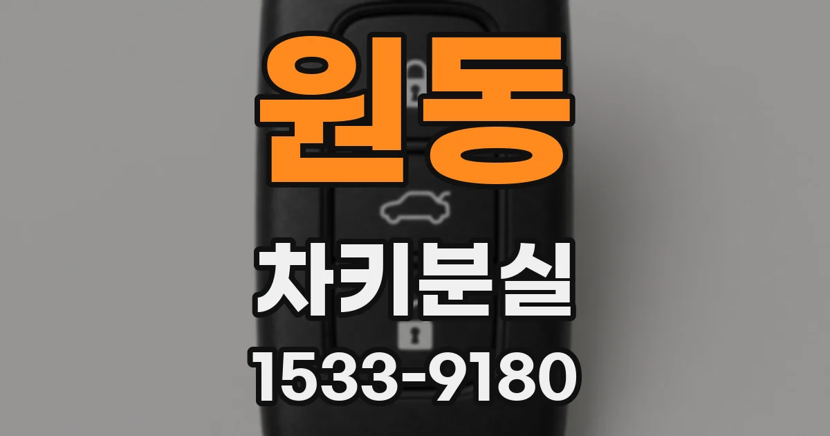 원동 차키분실