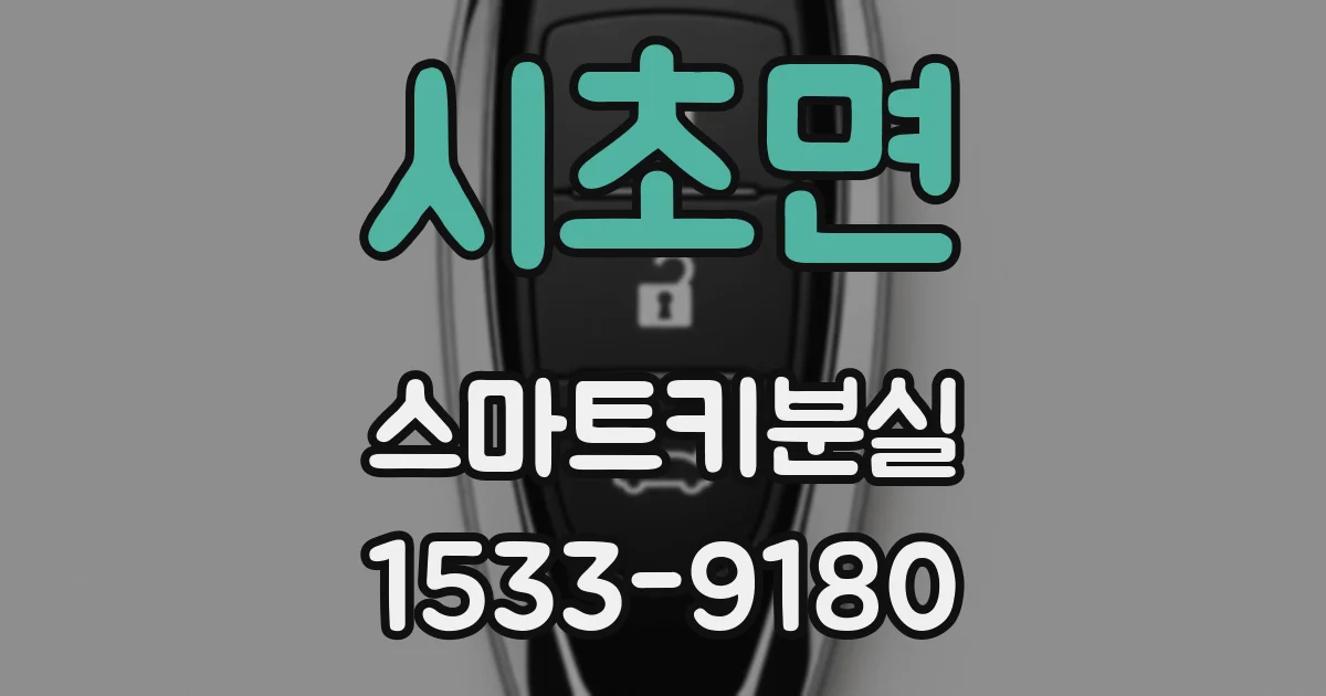 시초면 스마트키분실