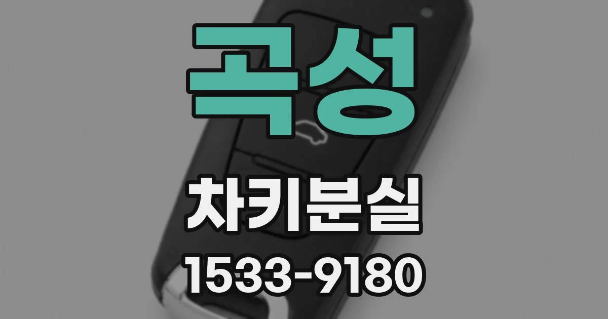 곡성 차키분실