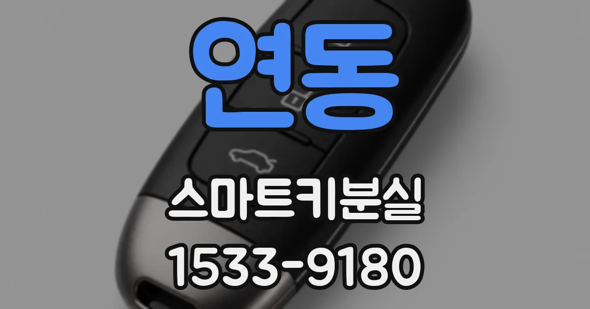 연동 스마트키분실