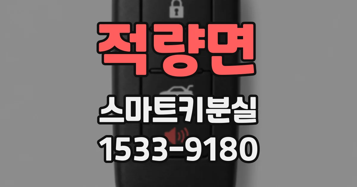적량면 스마트키분실