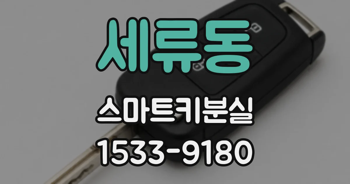 세류동 스마트키분실