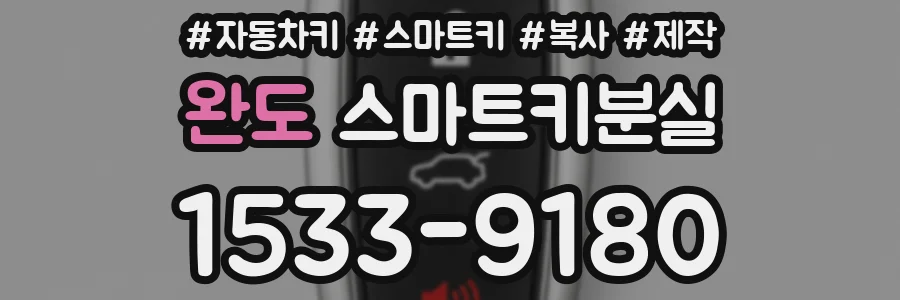 완도 스마트키분실