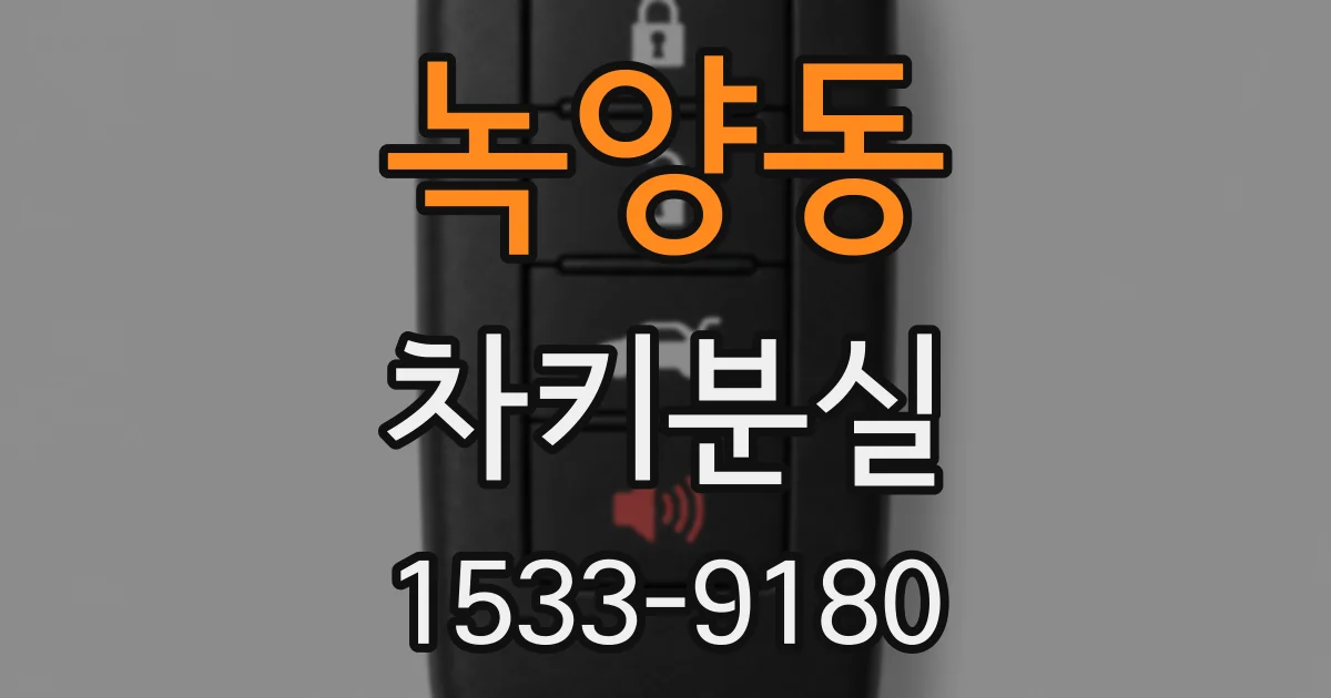 녹양동 차키분실