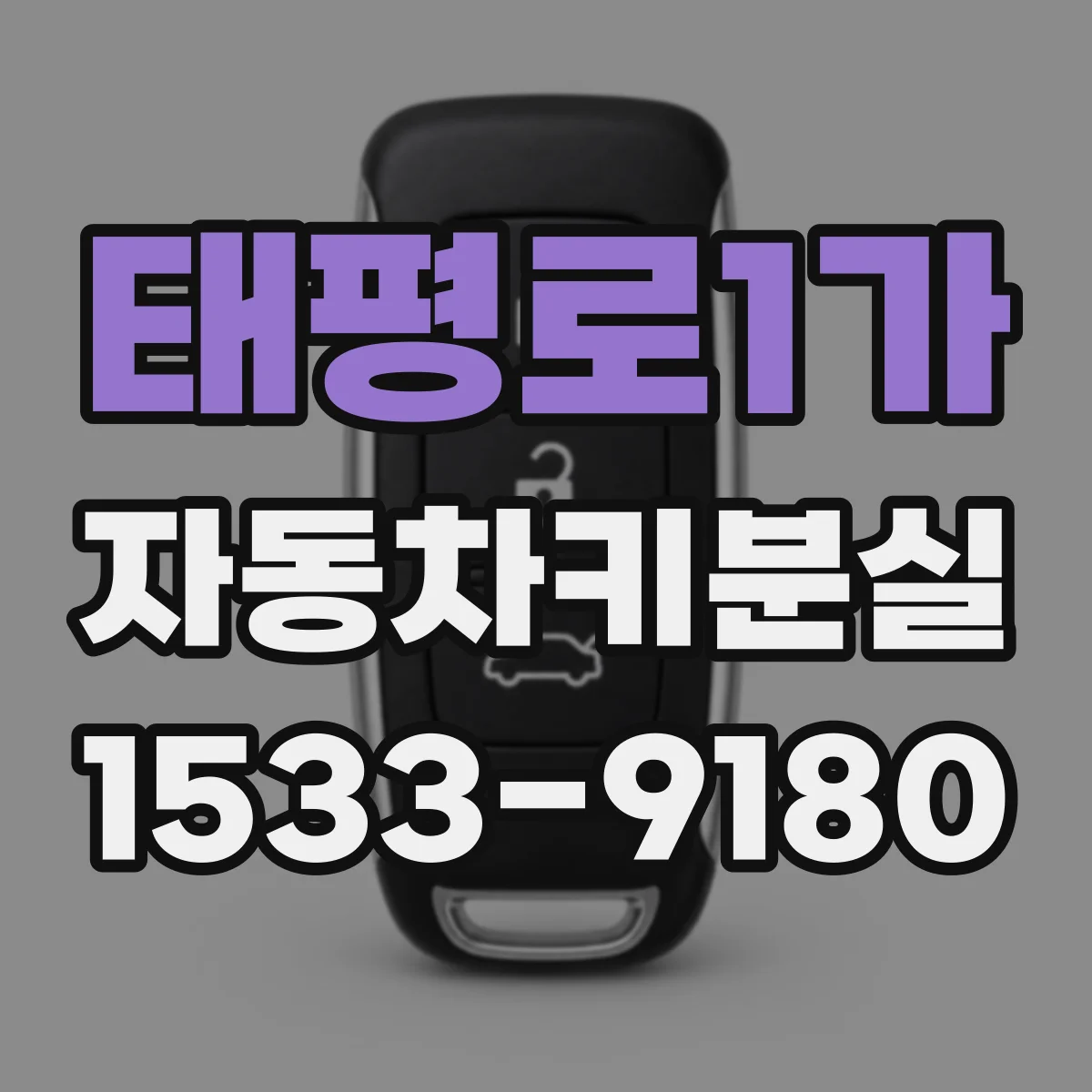 태평로1가 자동차키분실