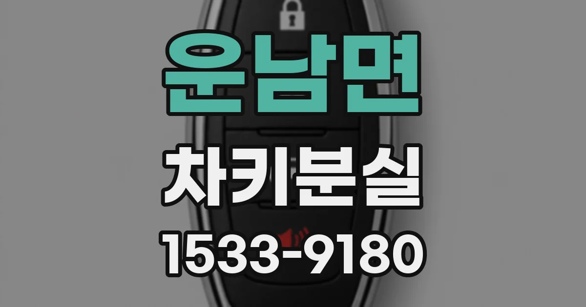 운남면 차키분실